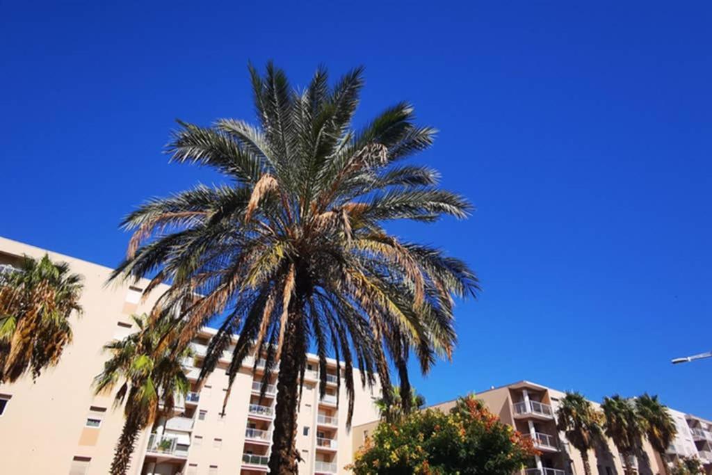 Appartement Premium, Proche Faculte & Centre Ville Ideal Digital Nomad Perpignan Luaran gambar