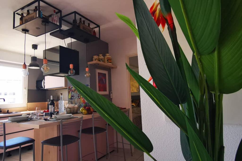 Appartement Premium, Proche Faculte & Centre Ville Ideal Digital Nomad Perpignan Luaran gambar
